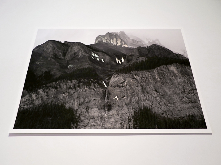 http://www.bardary.mirunadragan.com/files/gimgs/th-12_GGallery_Mountain_web.jpg